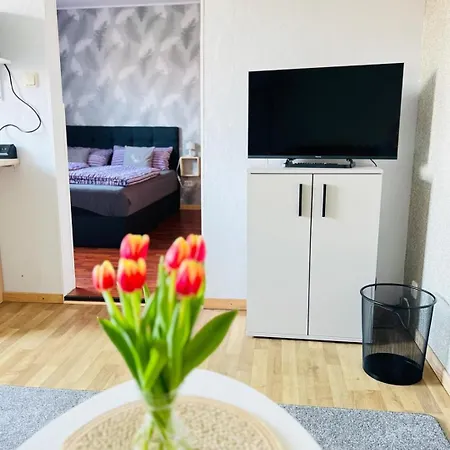Ohrbergblick Appartement *